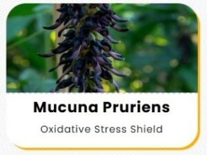 WhatsApp Image 2026-01-11 at 21.13.41