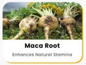 WhatsApp Image 2026-01-11 at 21.13.51