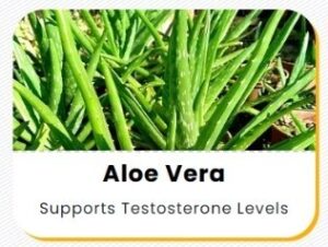 WhatsApp Image 2026-01-11 at 21.15.10