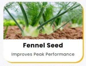 WhatsApp Image 2026-01-11 at 21.15.30