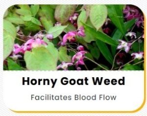 WhatsApp Image 2026-01-11 at 21.17.04