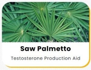 WhatsApp Image 2026-01-11 at 21.17.13